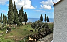 Strongilos Homestay