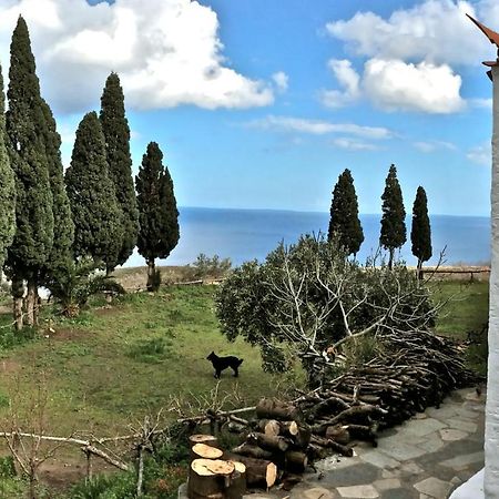 Strongilos Homestay Velanidia Εξωτερικό φωτογραφία